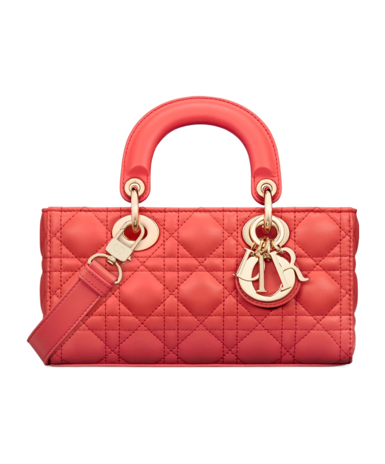 DIOR SMALL DIORIVIERA LADY D-JOY BAG