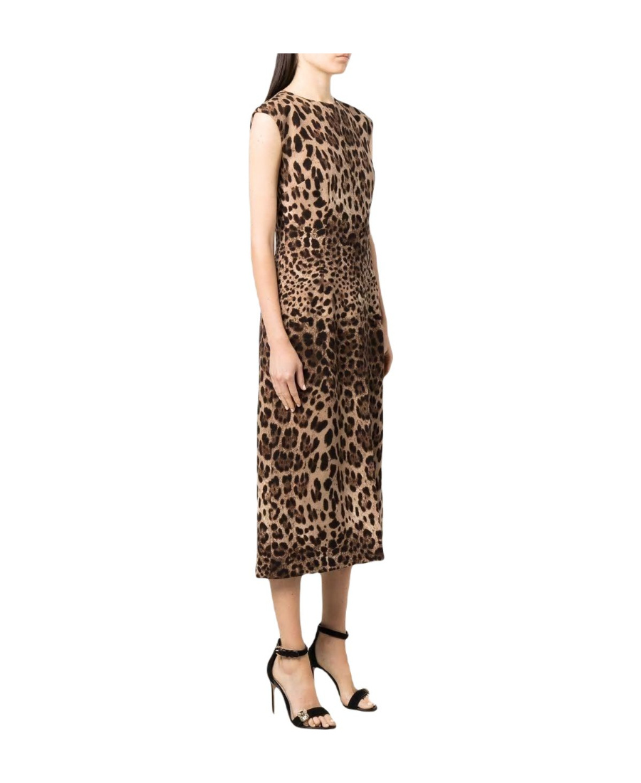 Dolce & Gabbana Leopard-print Wool-crepe Midi Dress In Brown