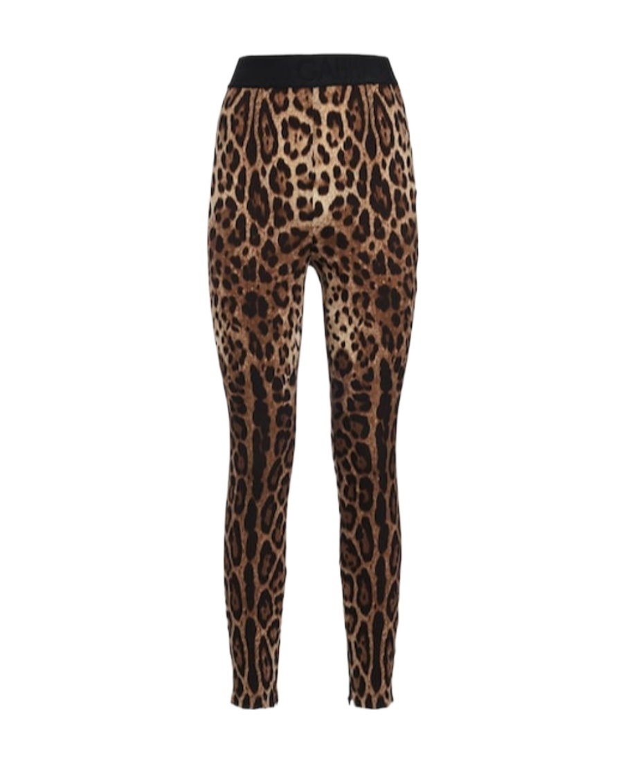 Dolce & Gabbana Leggings In Charmeuse With Leopard Print
