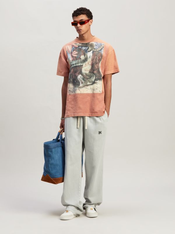 Palm Angels Graphic Printed Crewneck T-shirt In Pink