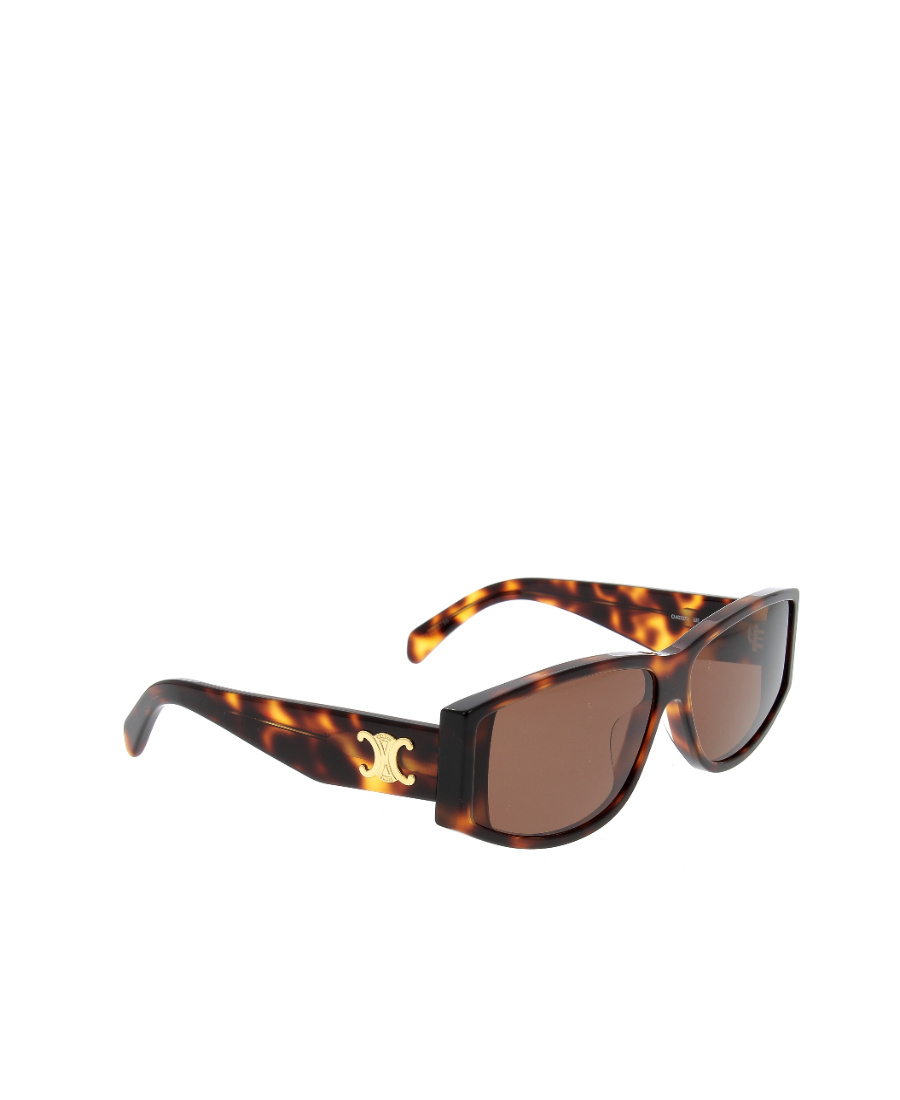 Celine Tortoiseshell Pattern Frame Sunglasses In Brown