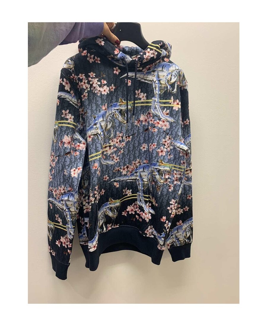 Dior Kongshanji Co-branded Hooded Hooded Sweater In Multicolor