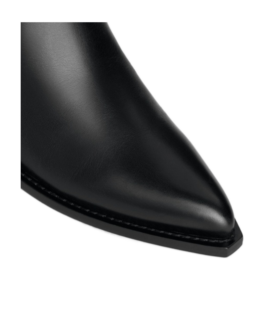 Celine Logo Clasp Pointed Boots In Black