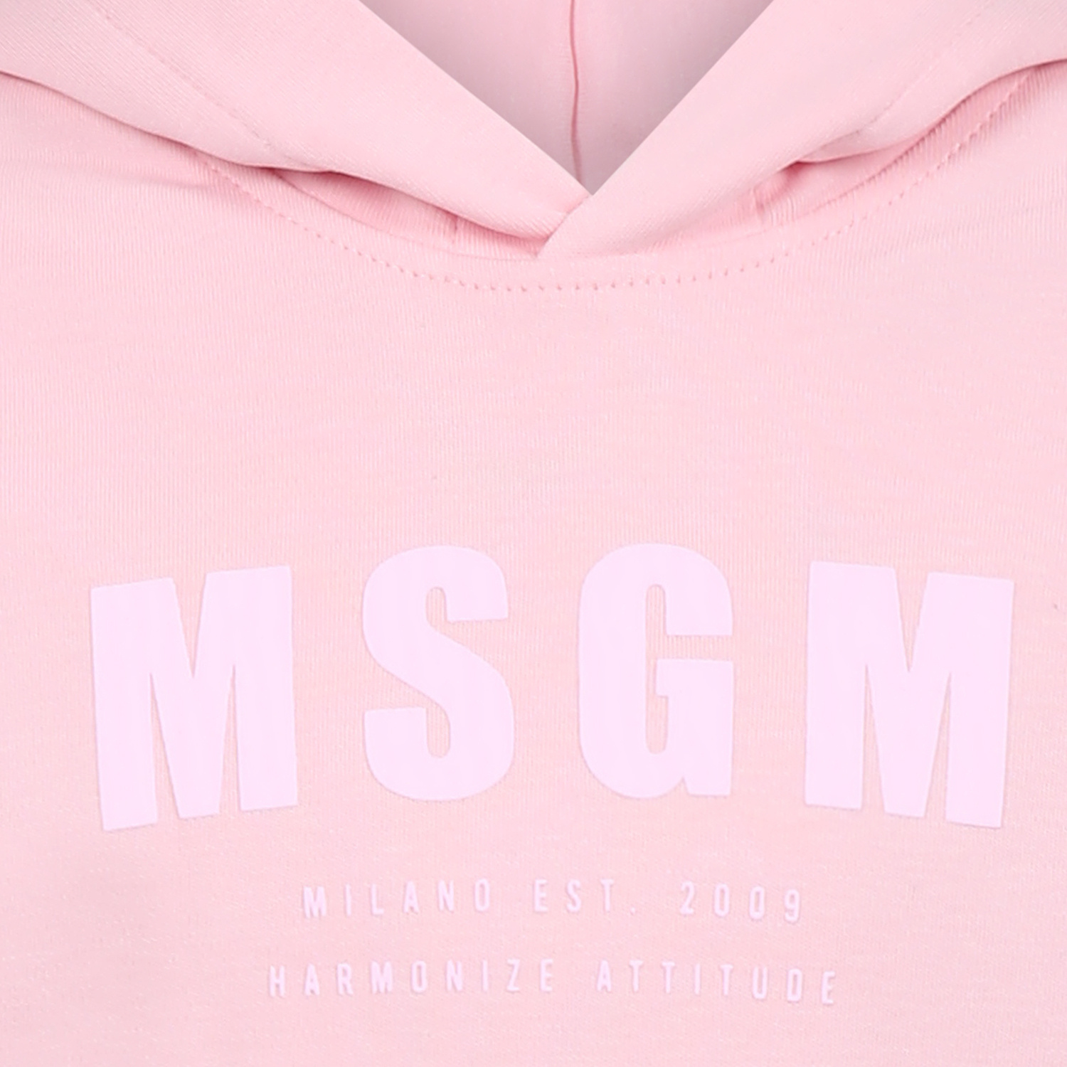 Msgm Hooded Sweater In Pink