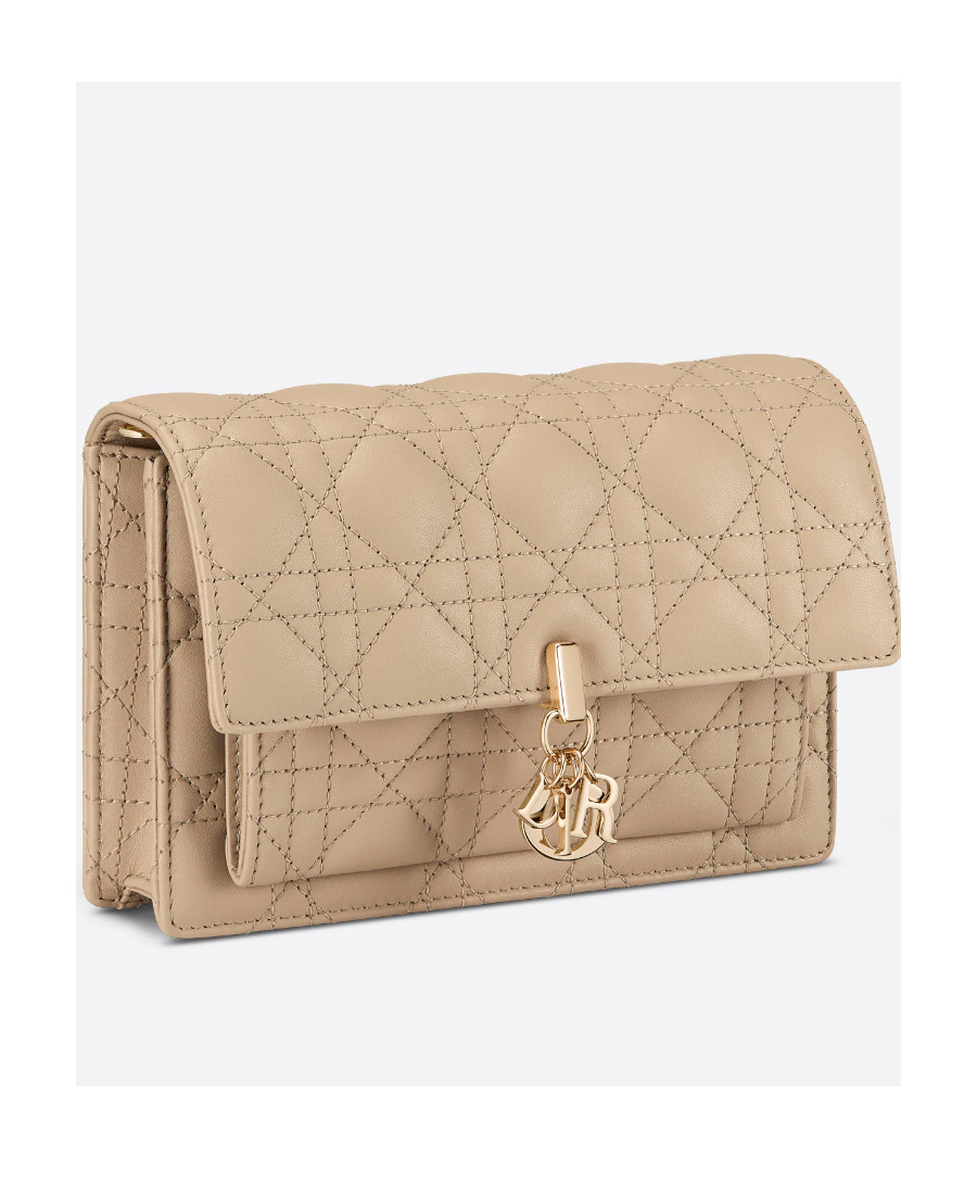 Dior Lady  Chain Pouch In Brown