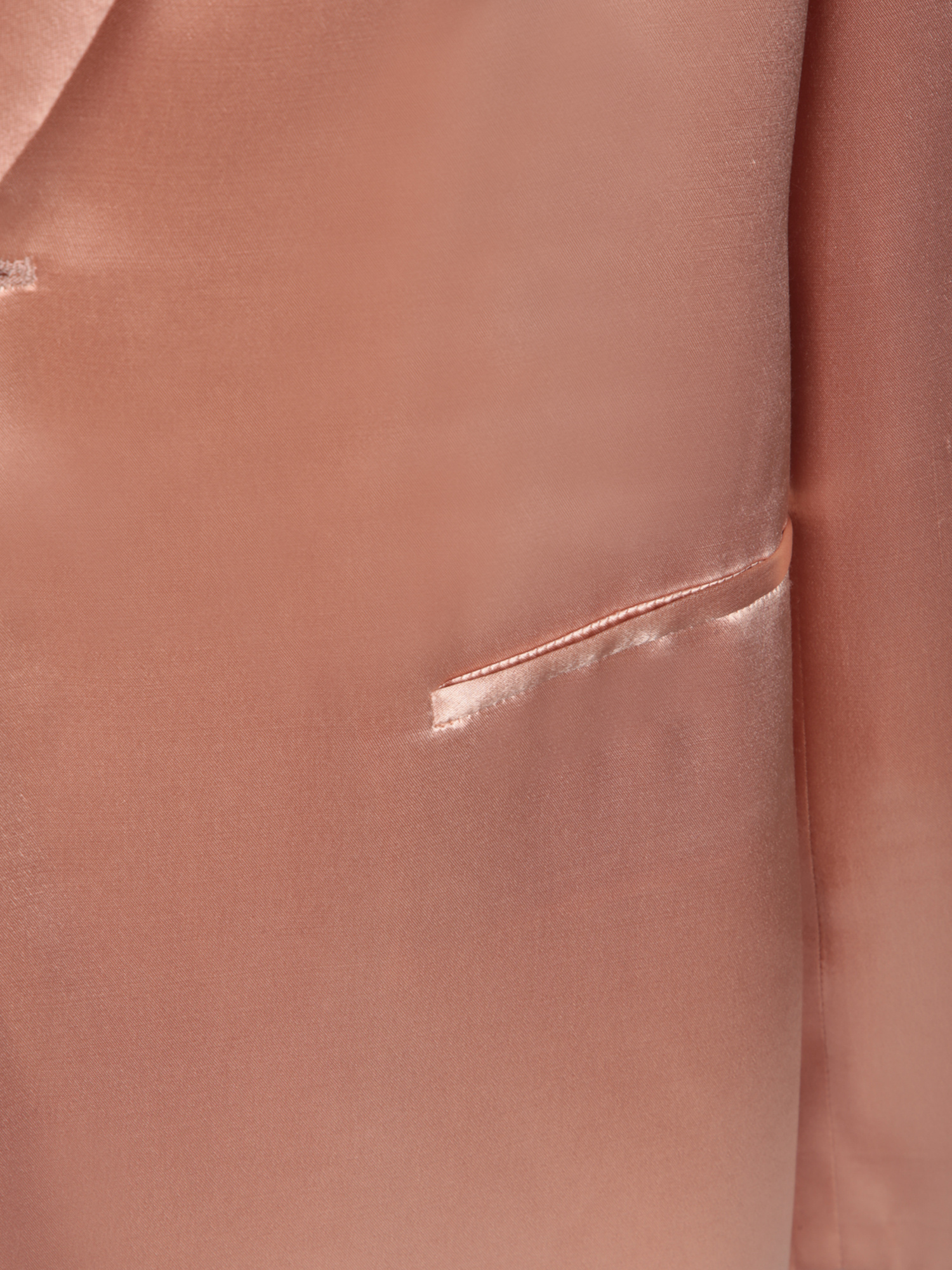 Alberta Ferretti Single Breasted Jacket In Pink