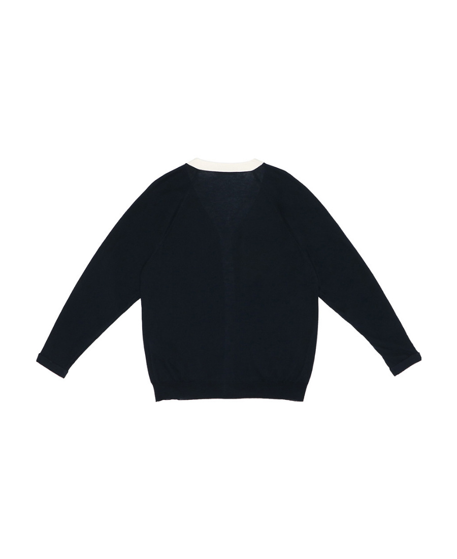 Max Mara V-neck Long-sleeved Sweater In Black