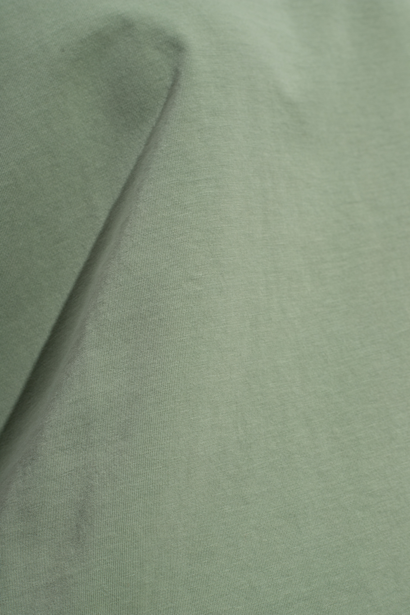 Nanushka Logo-embroidered Cotton T-shirt In Green