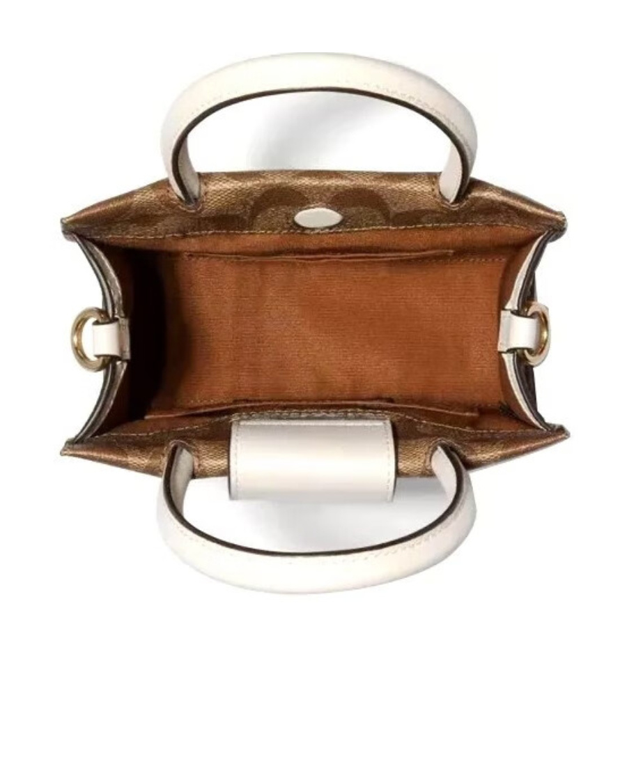 Coach Mini Cally Skew Cross Package In Brown