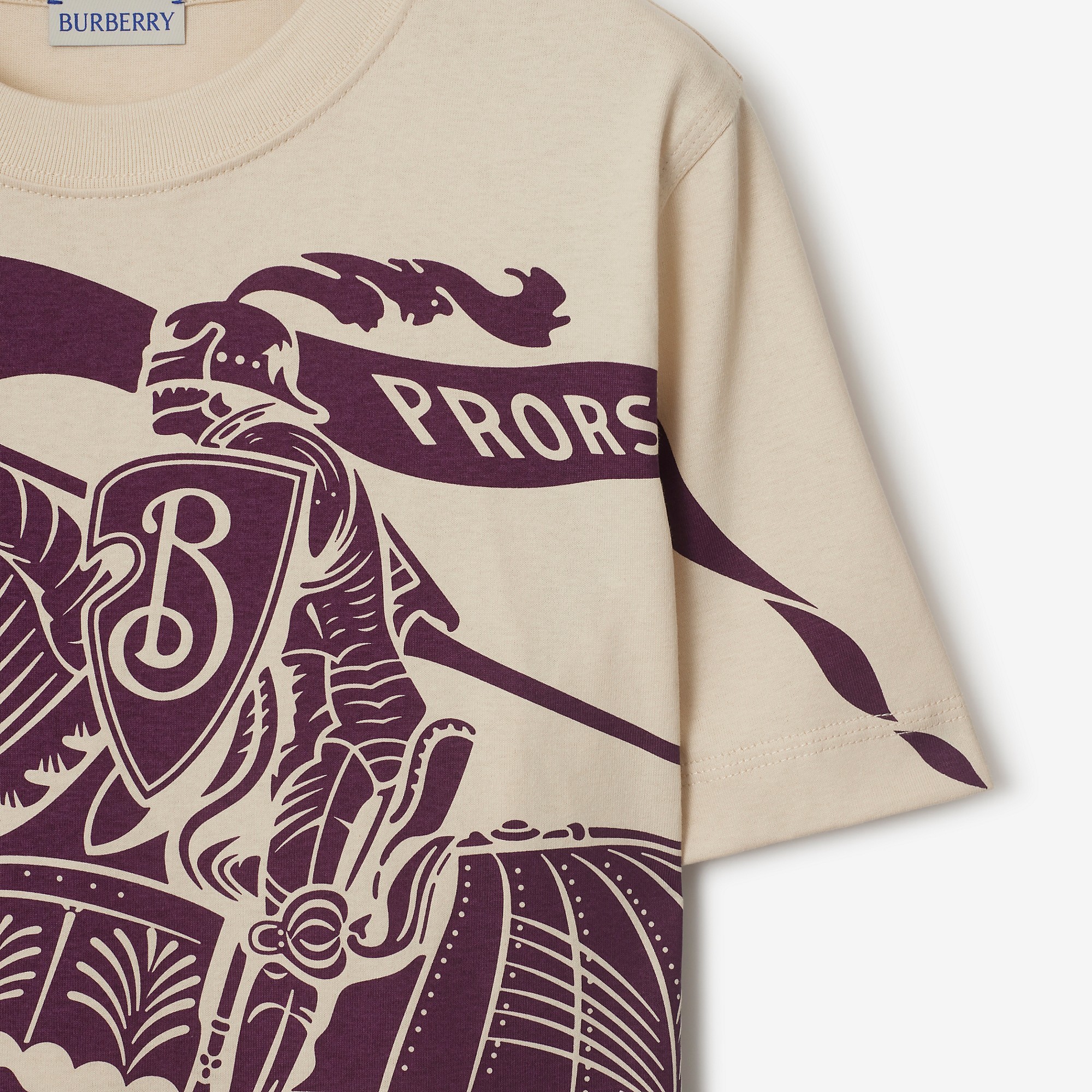 Burberry Short Sleeves With Large Graphic Print In Nude