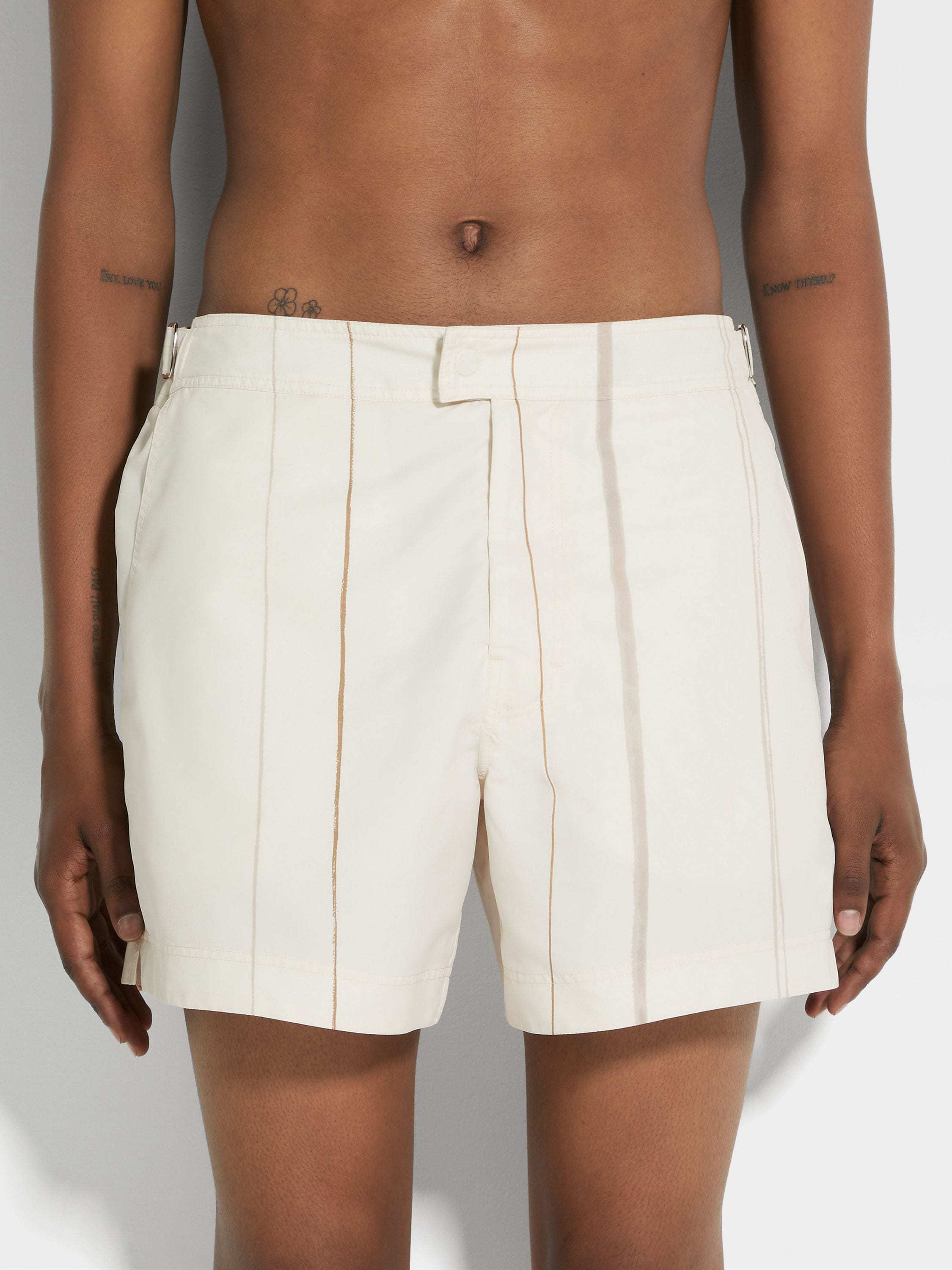 Zegna Stripe Regular Fit Swim Trunks In Neutral