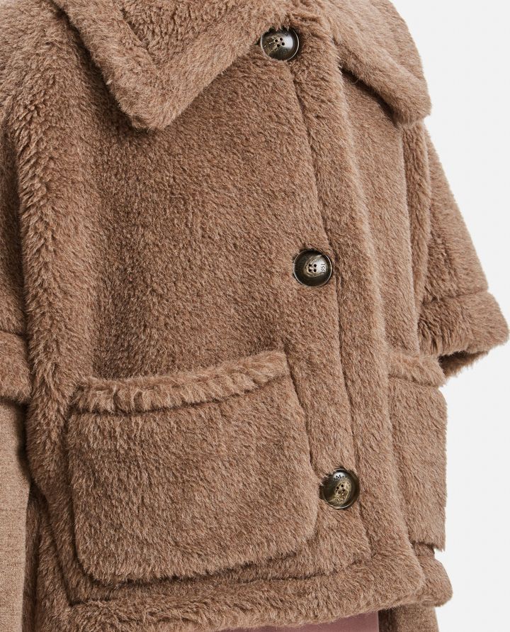 Max Mara Teddy Short-sleeve Cropped Jacket In Brown