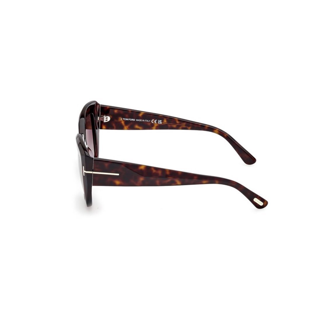 Tom Ford Full Frame Sunglasses In Brown