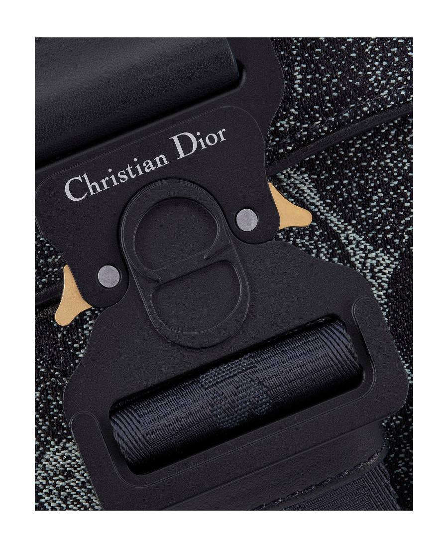 DIOR DIOR AND PETER DOIG WAIST BAG