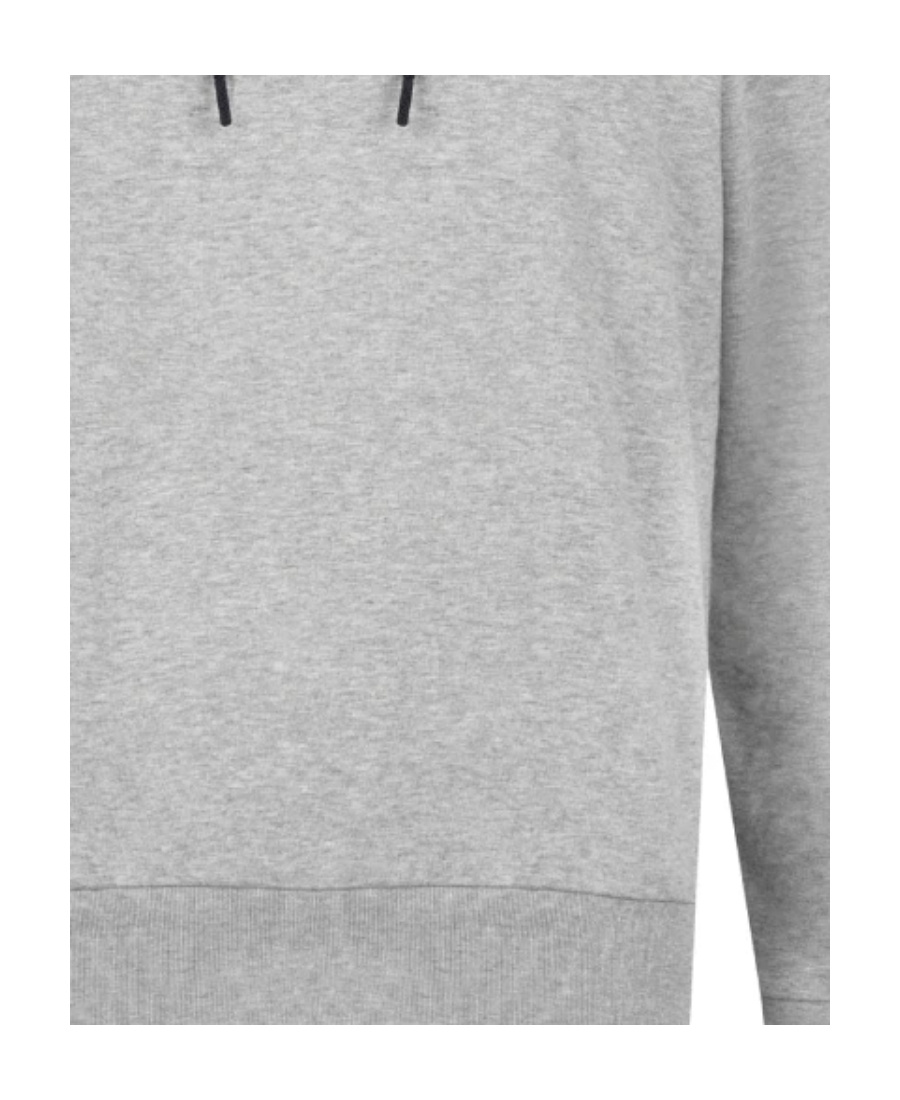 Paul & Shark Logo Printed Hooded Hoodie In Gray