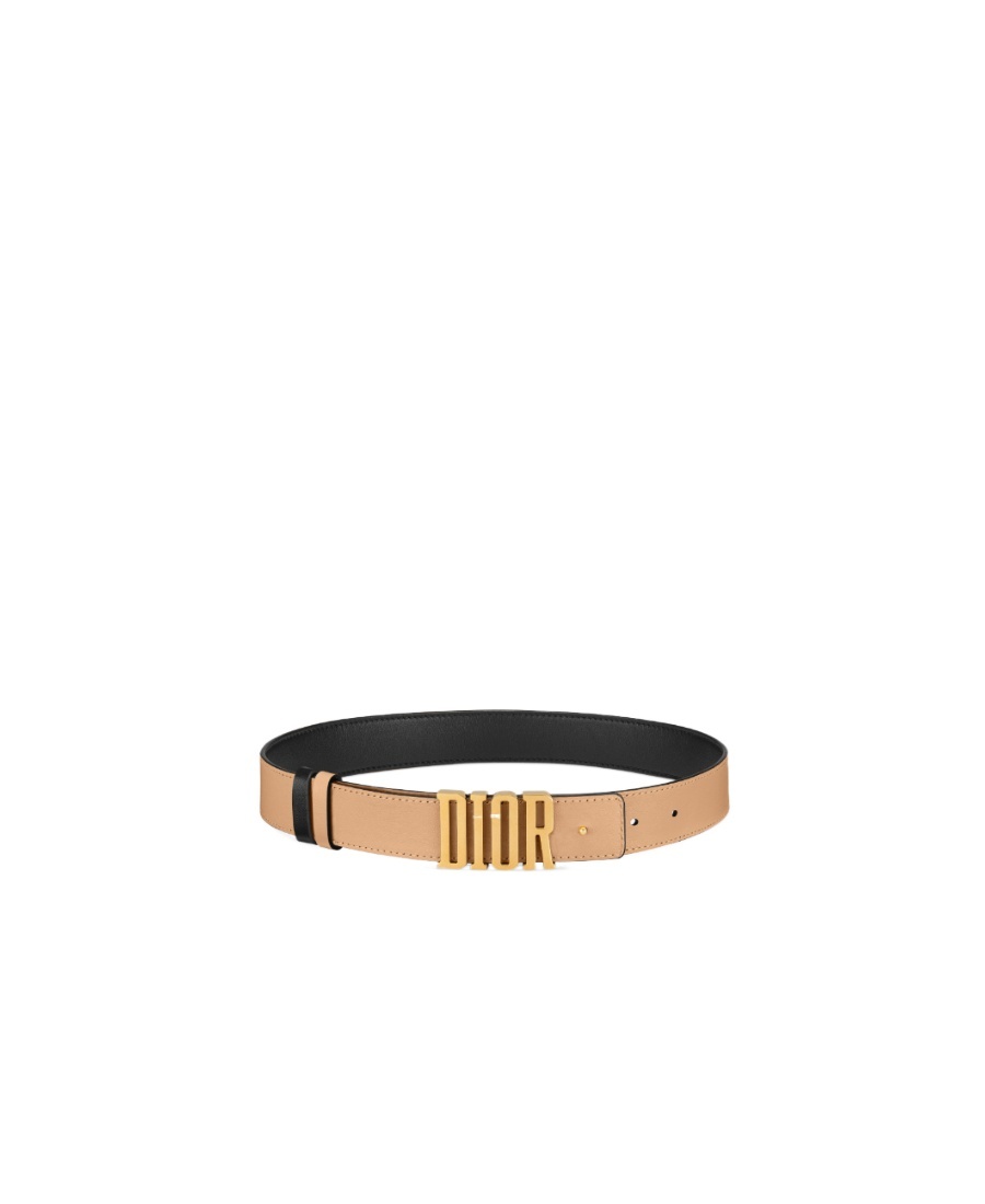 Dior D-fence Double-sided Belt In Black