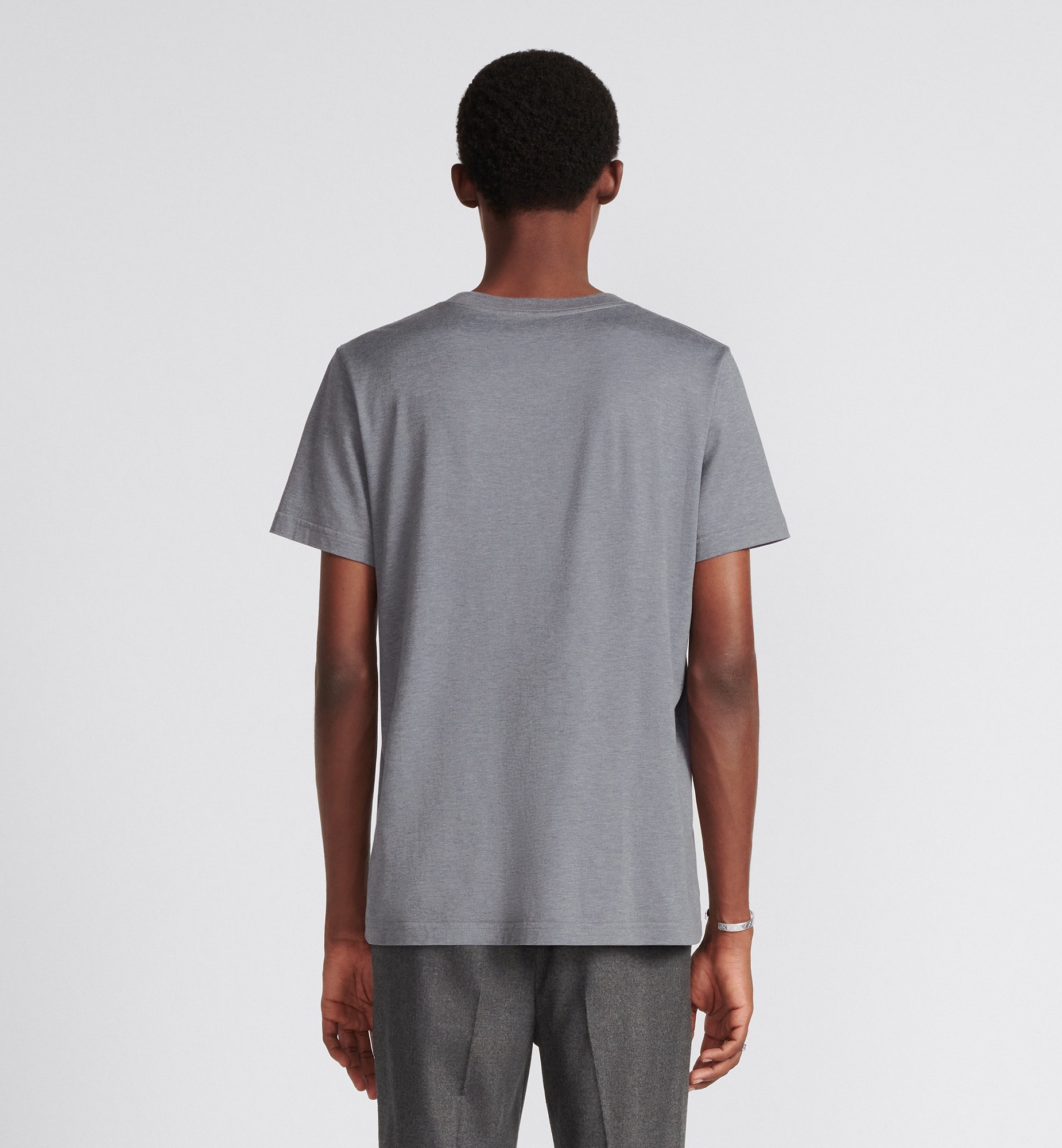 Dior Icons Short Sleeved T-shirt In Gray