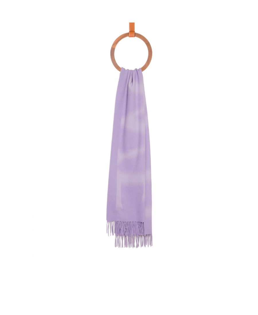 Loewe Wool And Cashmere Scarf In Purple