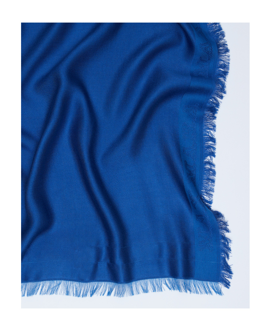 Max Mara Fringed Scarf In Blue