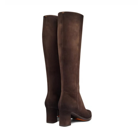 Santoni Pointed-toe Boots In Brown