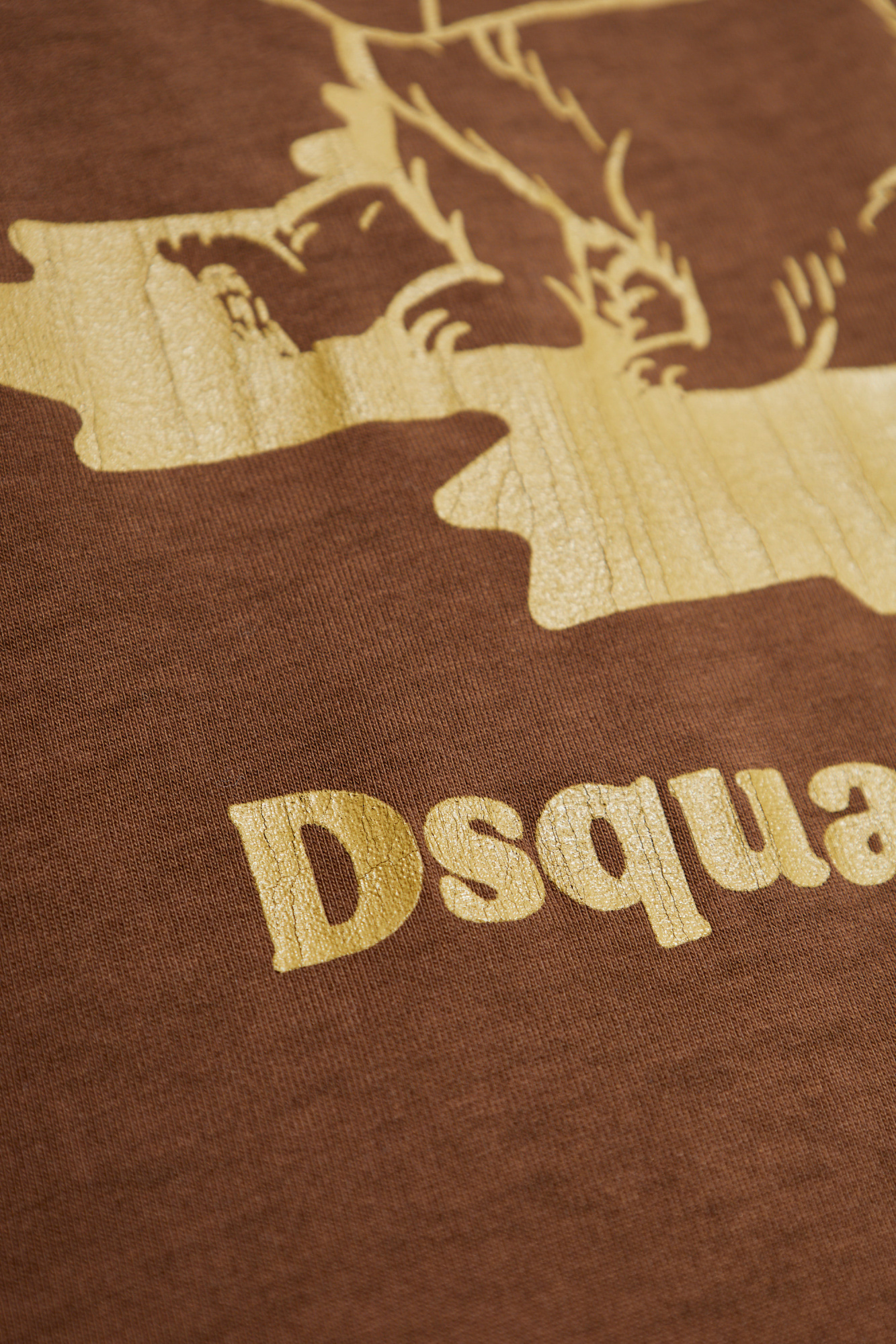 Dsquared2 Cotton T-shirt In Brown