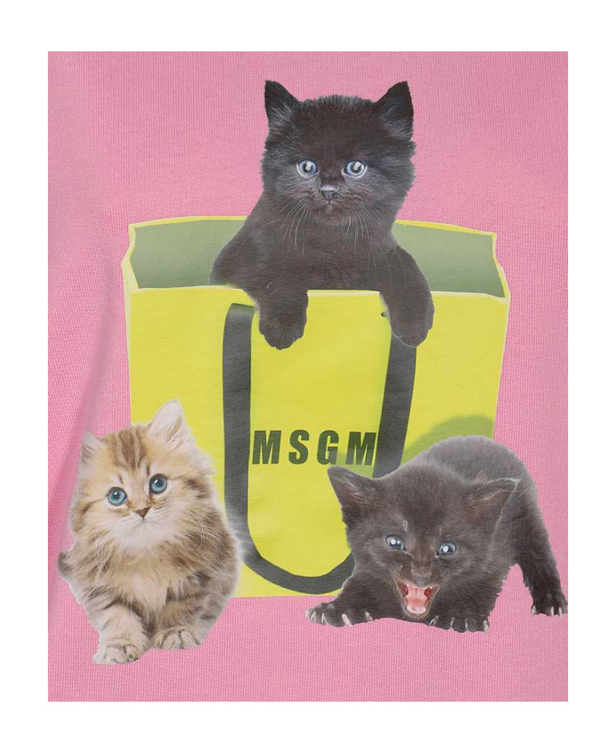 Msgm Cotton Hoodie In Pink