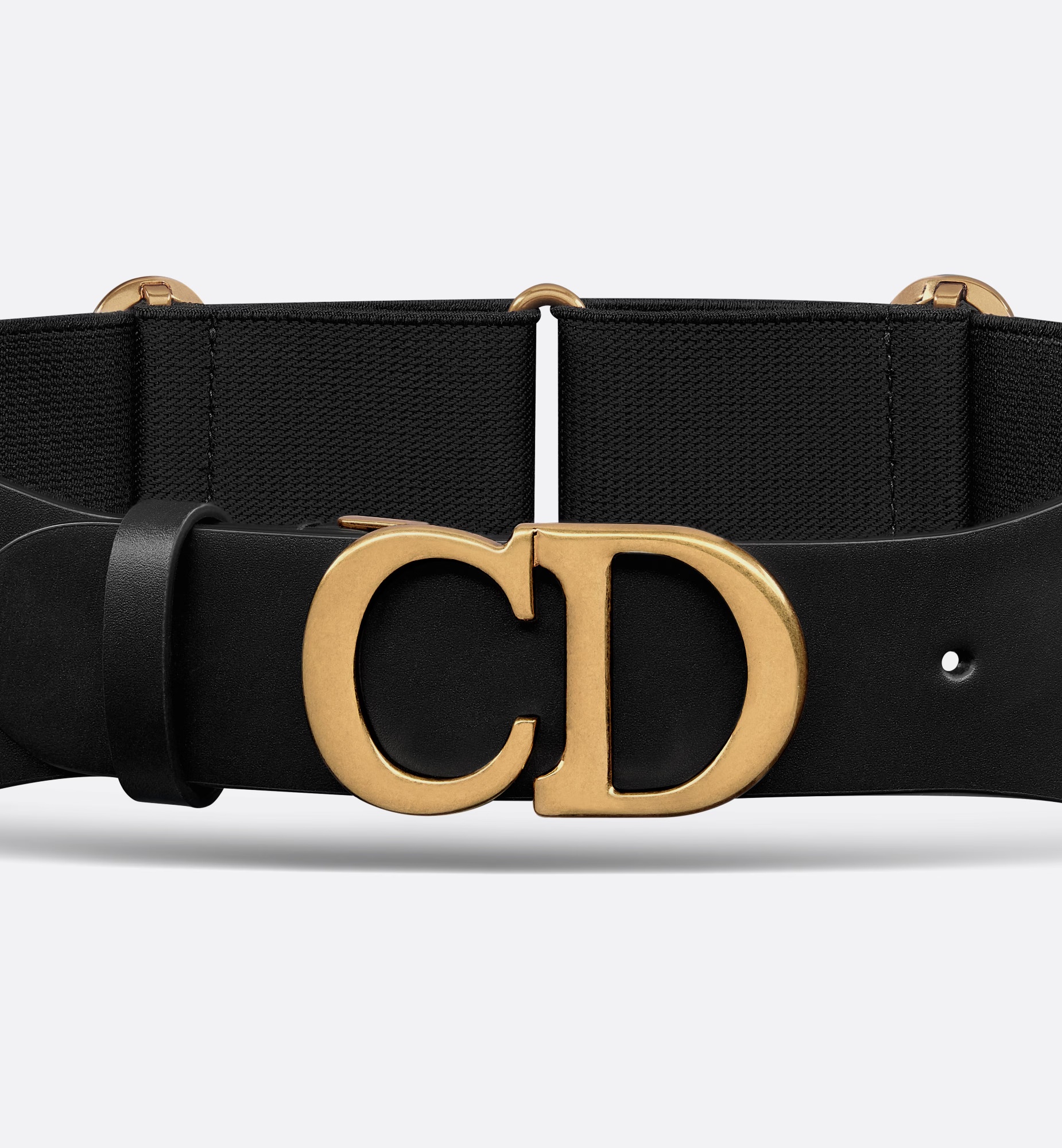 Dior Saddle Bag Belt In Black