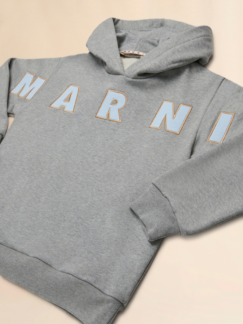 Marni Cotton Hoodie In Gray