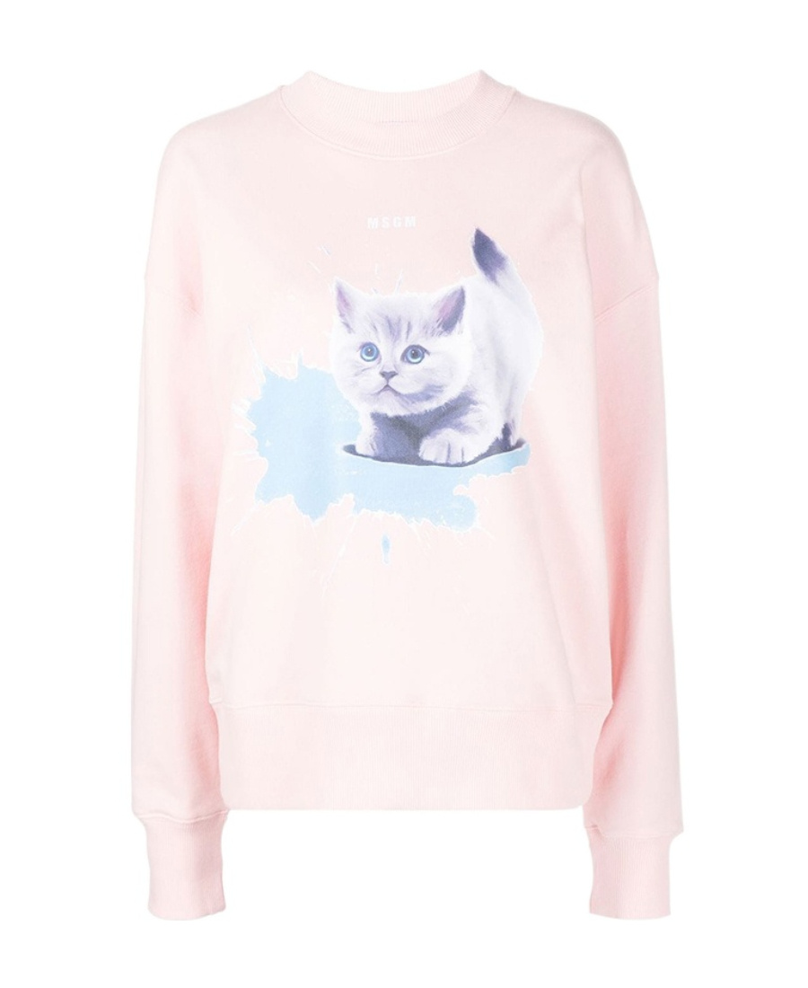 Msgm Cat-print Sweatshirt In Pink
