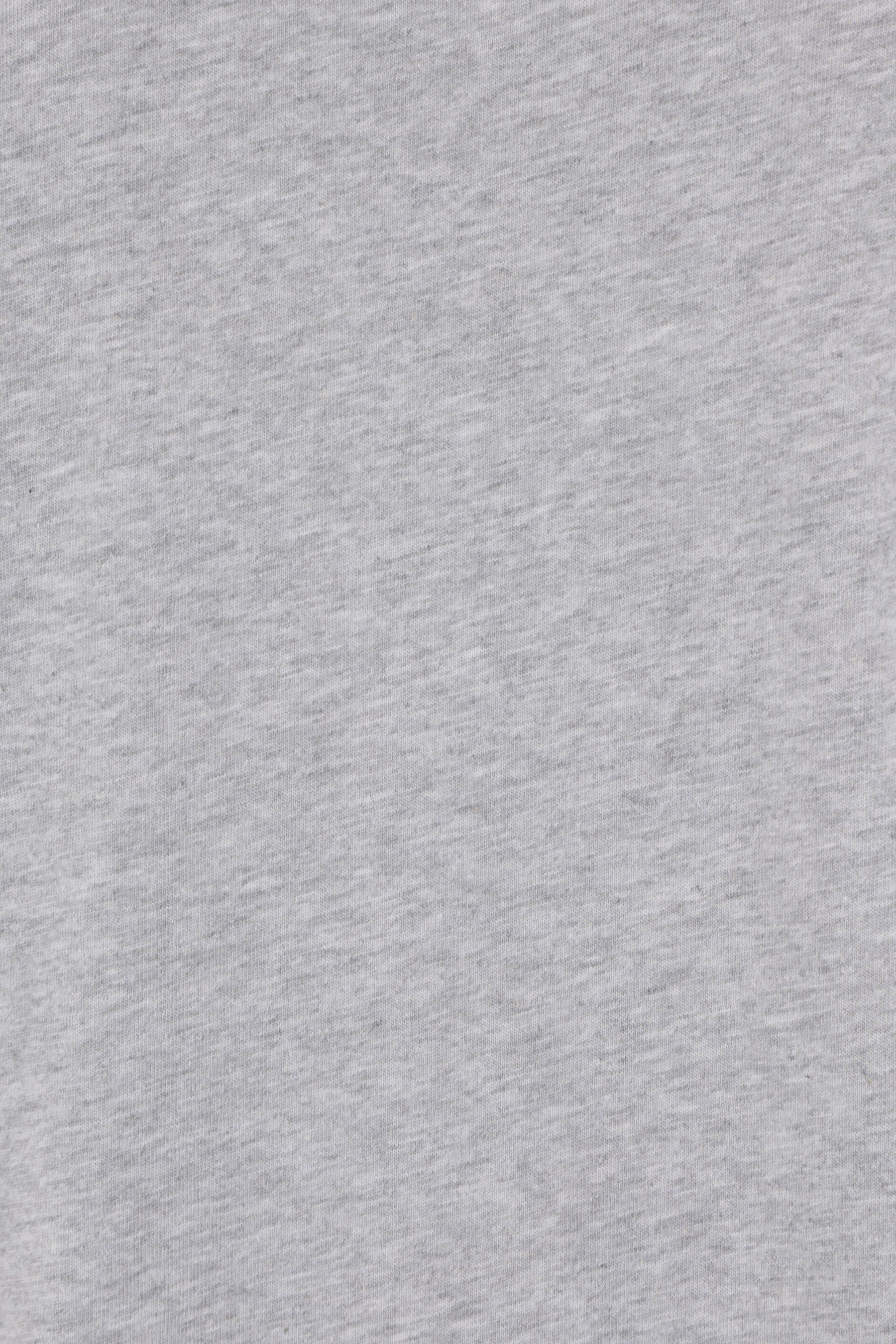 Alexander Mcqueen Organic Cotton T-shirt With Logo Detail In Gray