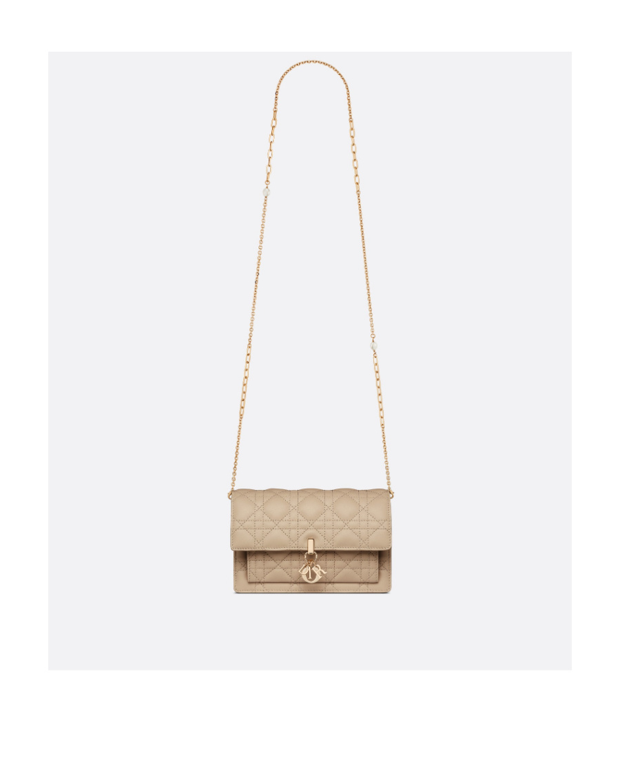 Dior Lady  Chain Pouch In Brown