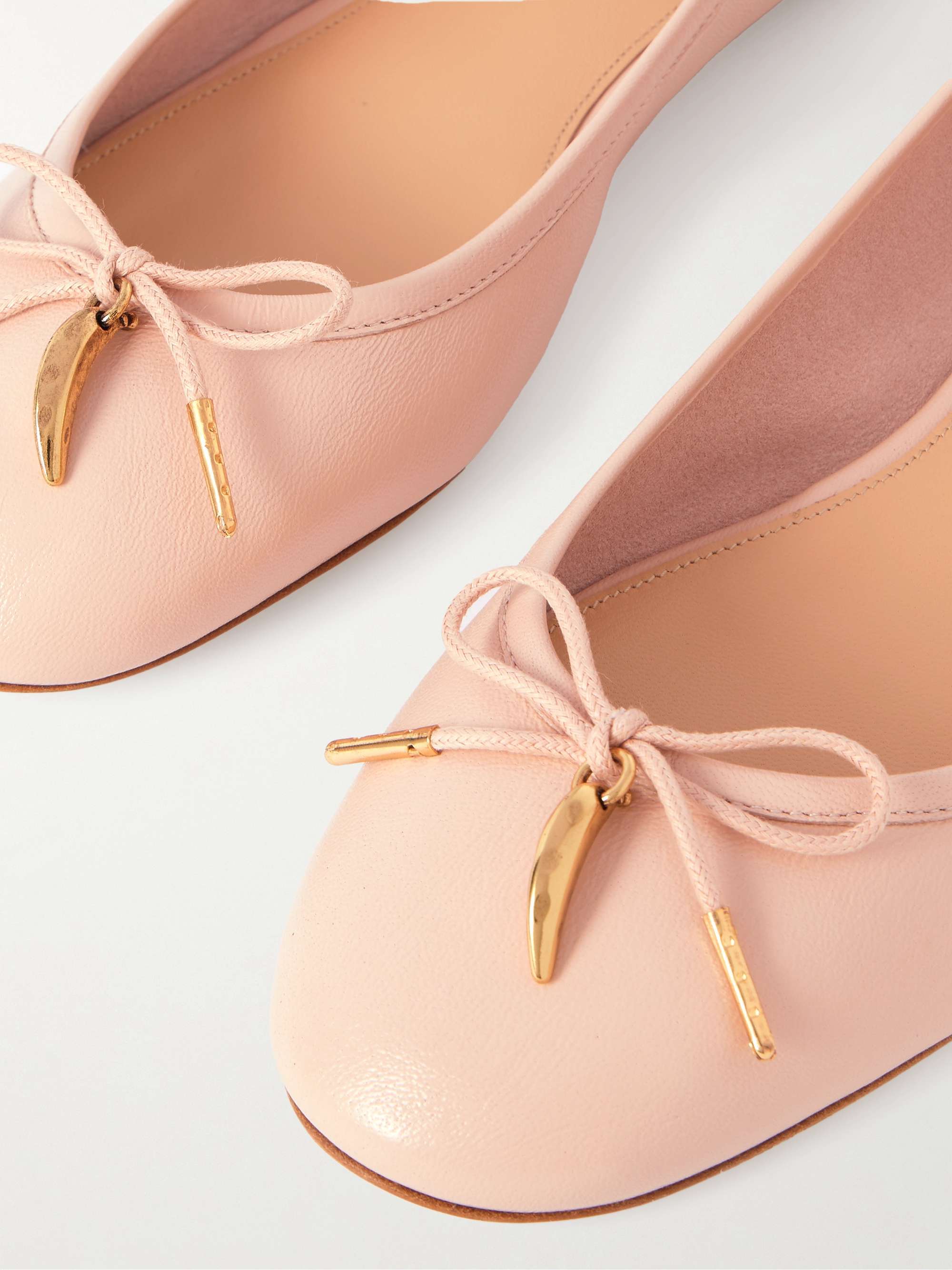 Chloé Iris Leather Ballerina Flats In Multi
