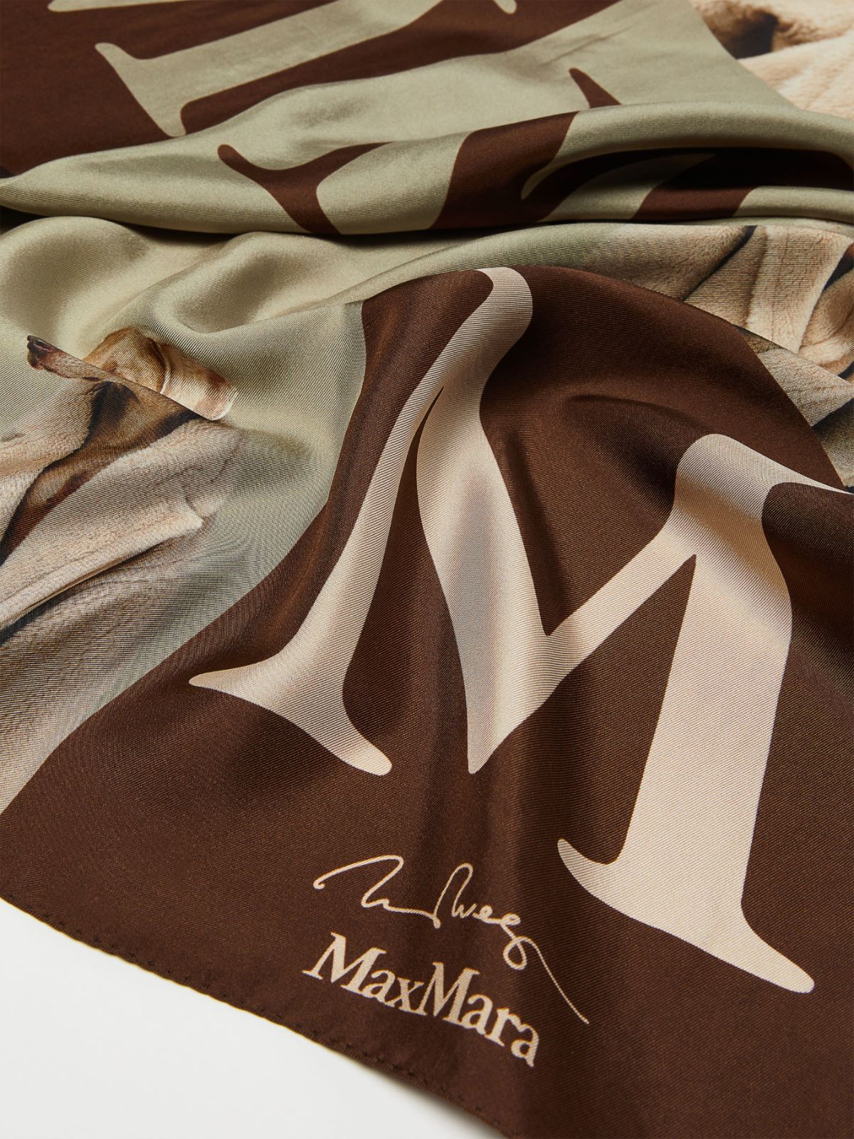 Max Mara Printed Scarf In Multicolor