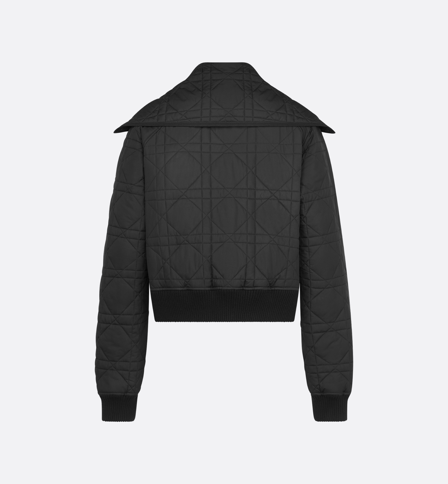 Dior Long-sleeved Cotton Jacket In Black