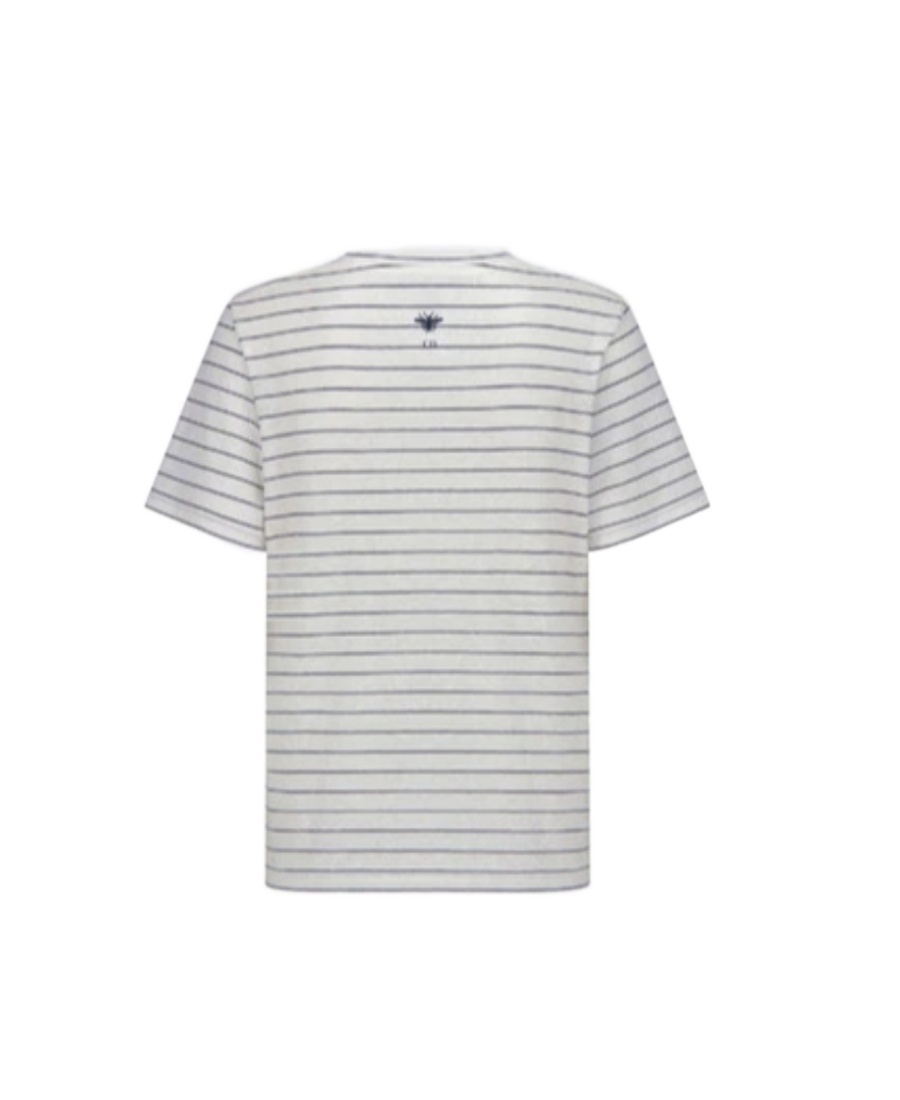 Dior Stripe Printed T-shirt In Gray