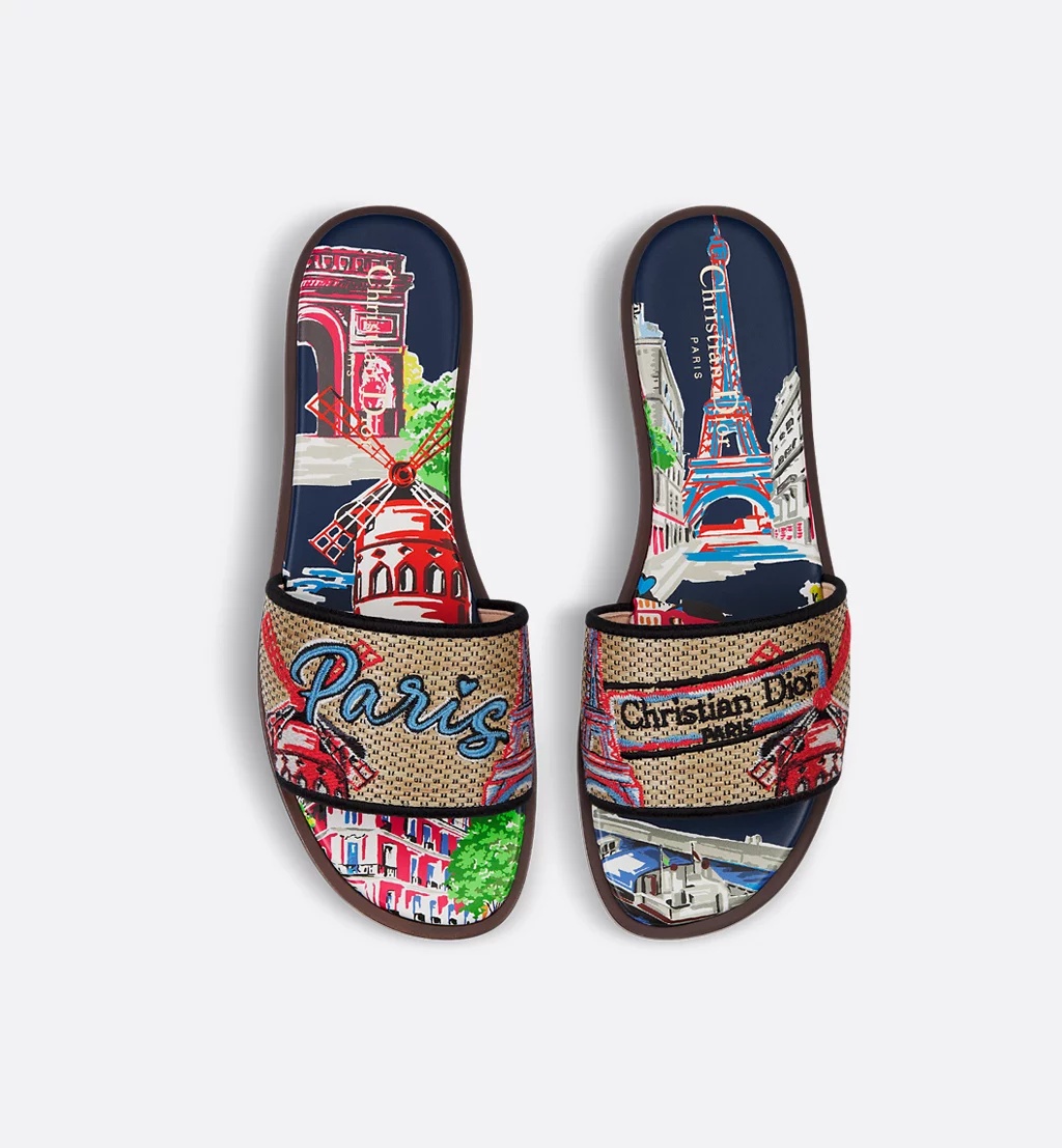 Dior Souvenir Dway Slide In Multi