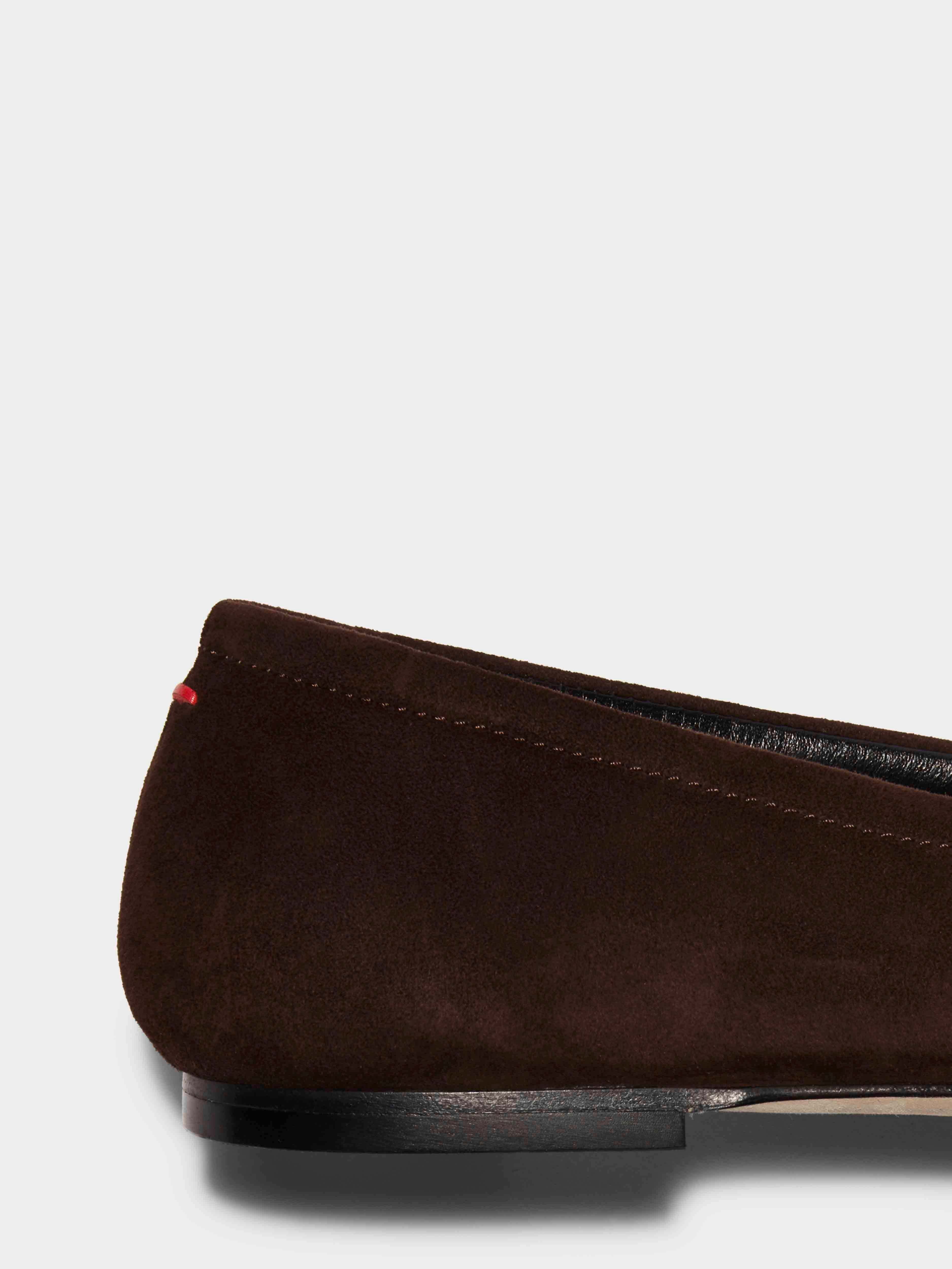Aeyde Delfina Bow-detailed Ballet Flats In Brown