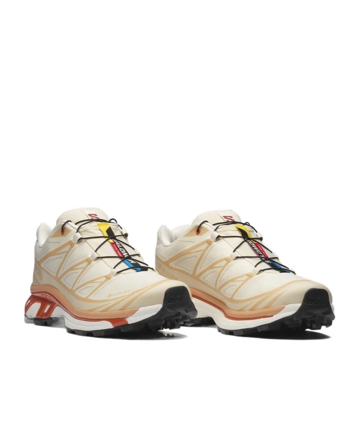 Salomon Xt-6 Gore-tex In Brown