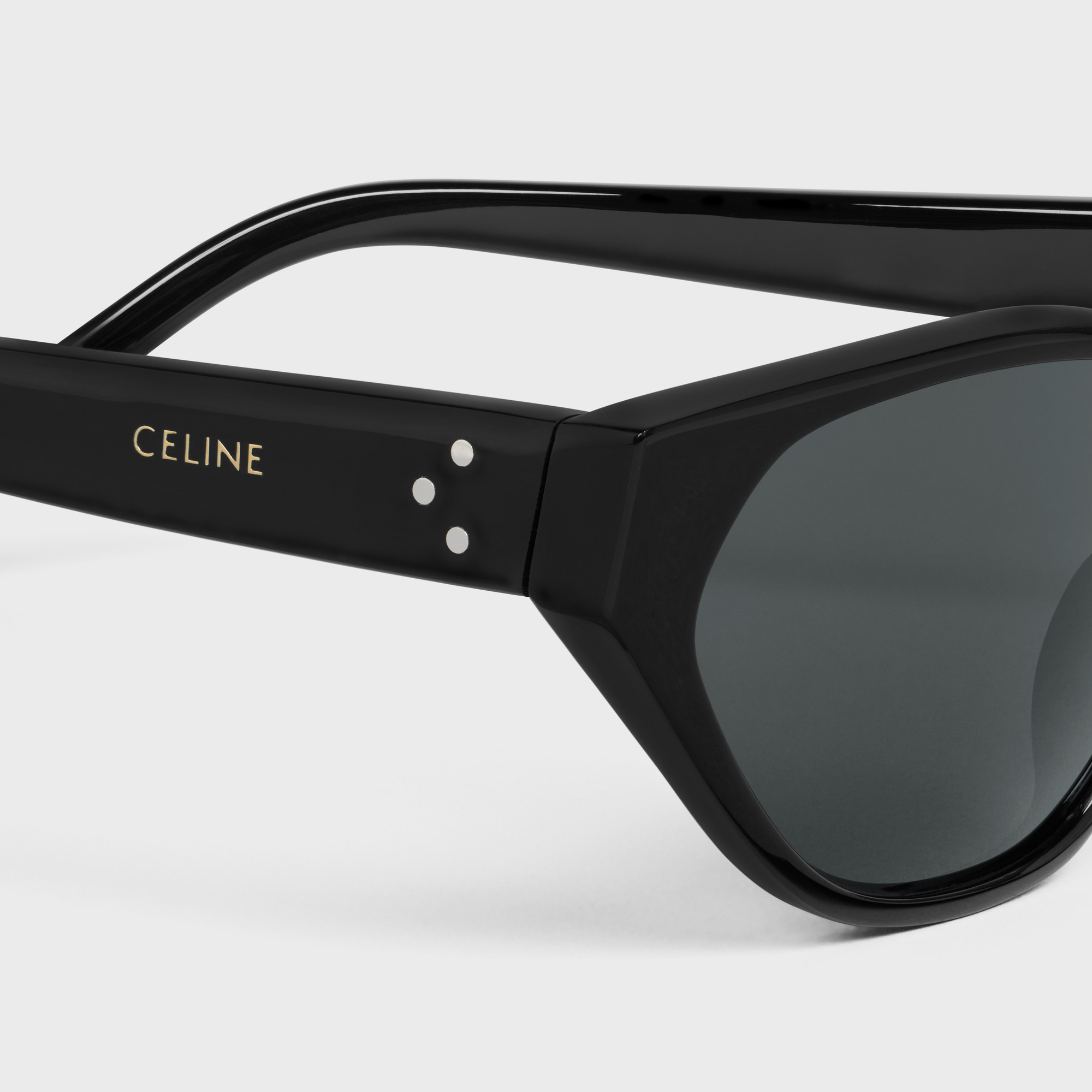 Celine Cat Eye S251 Sunglasses In Acetate