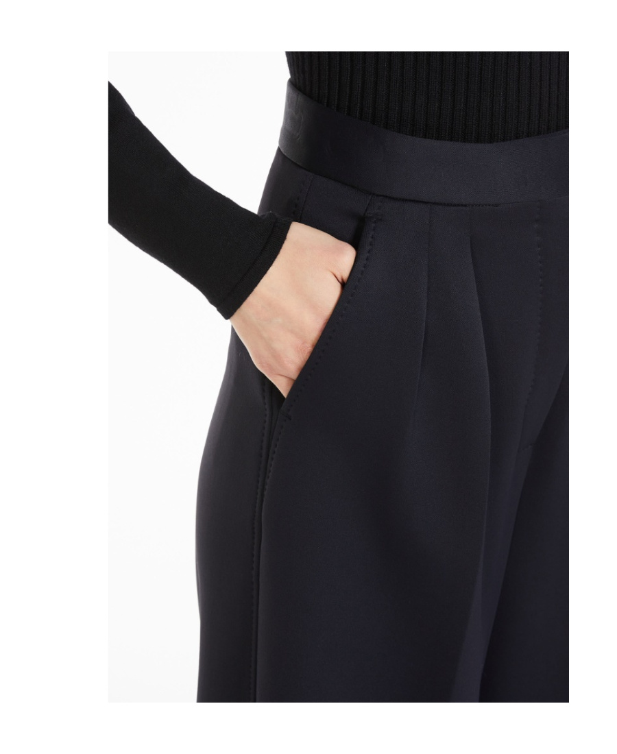 Max Mara Zinnia Pleat Detailed High Waist Pants In Black