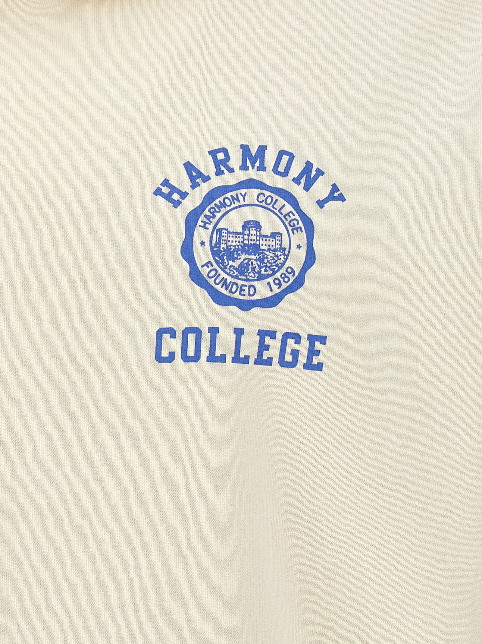 Harmony Paris Long-sleeved Hooded Sweater In Nude