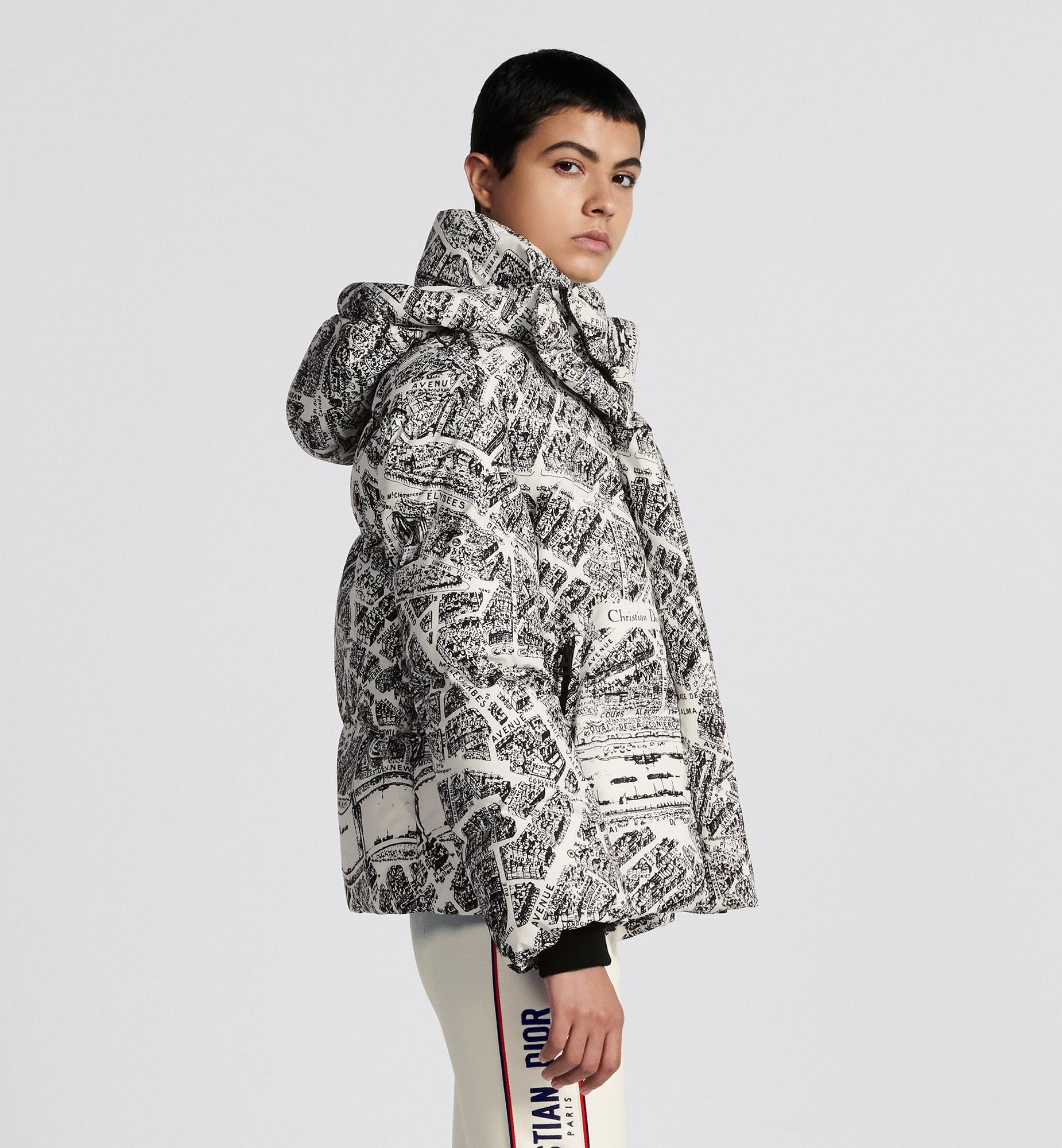 Dior Alps Hooded Down Jacket In Gray