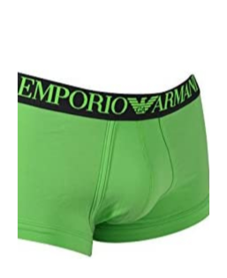 EMPORIO ARMANI LOGO DETAIL PANTIES