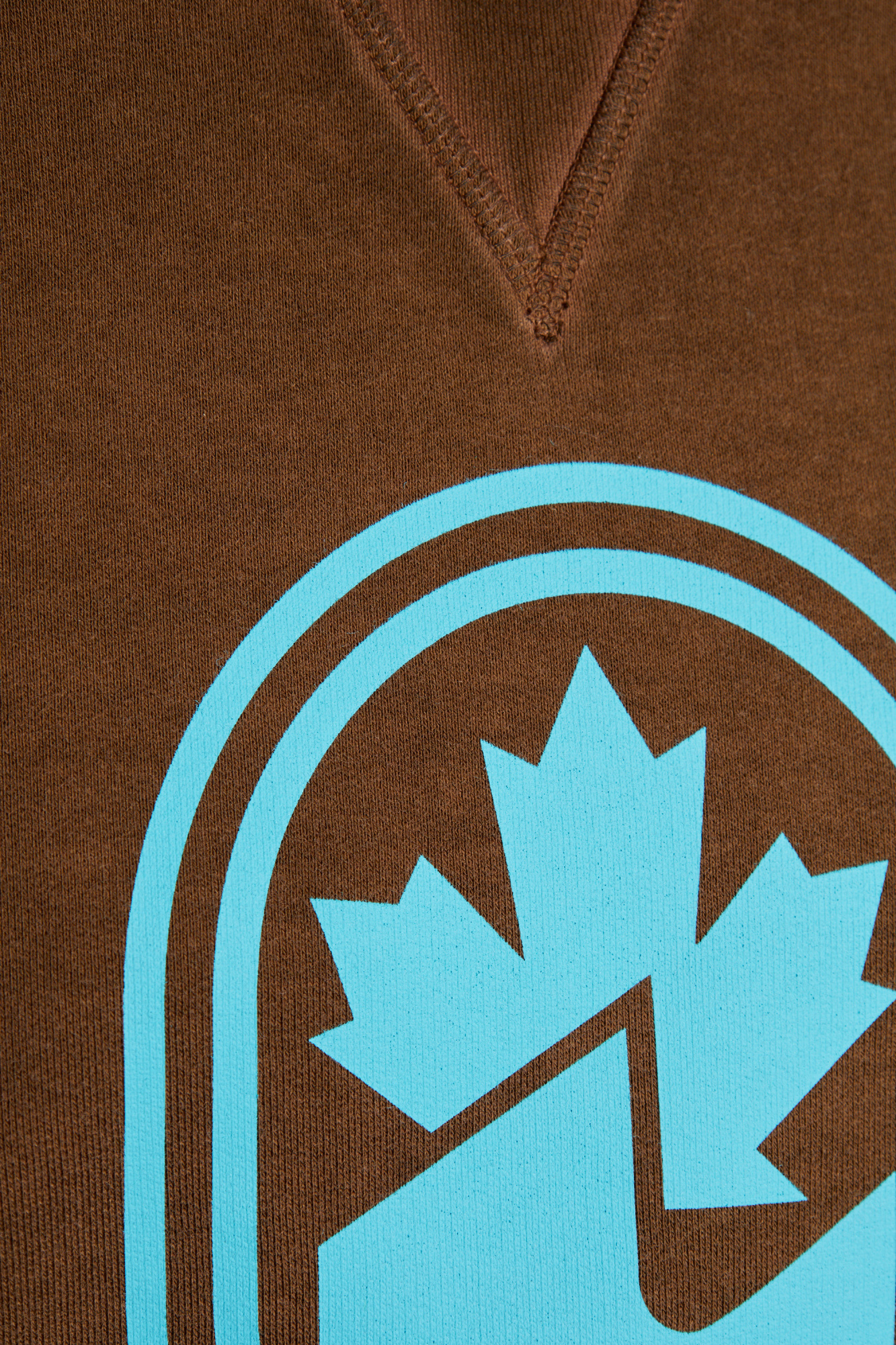 Dsquared2 Printed Sweatshirt In Brown