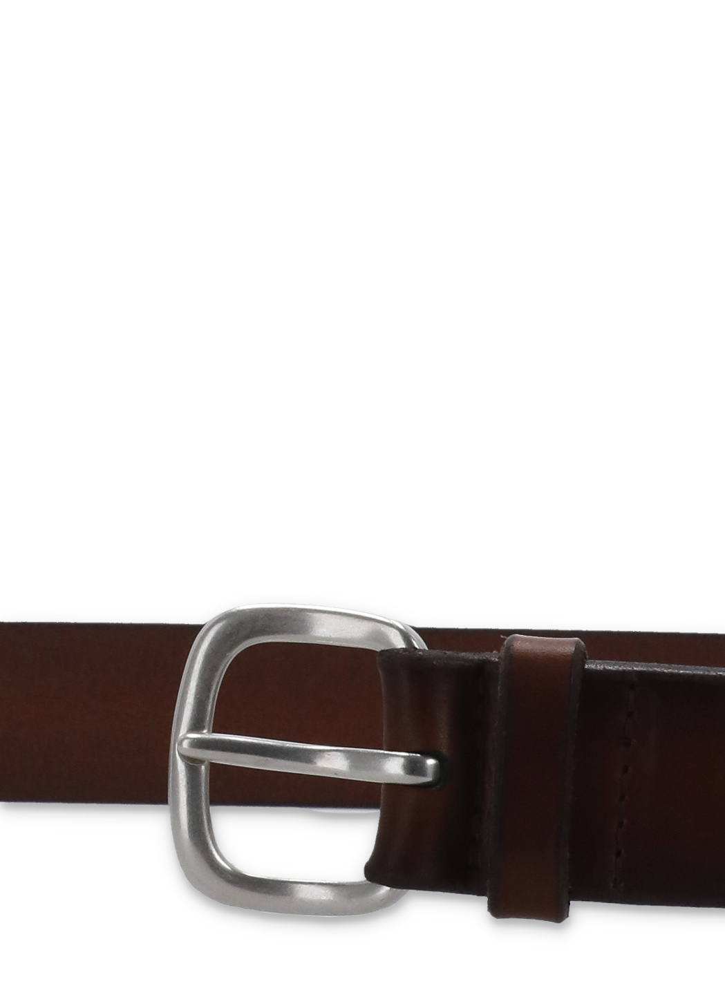 Orciani Logo Belt In Black