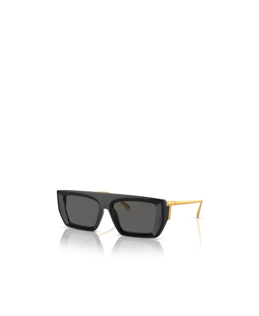 Tiffany & Co Collision Color Thick-rimmed Sunglasses In Black