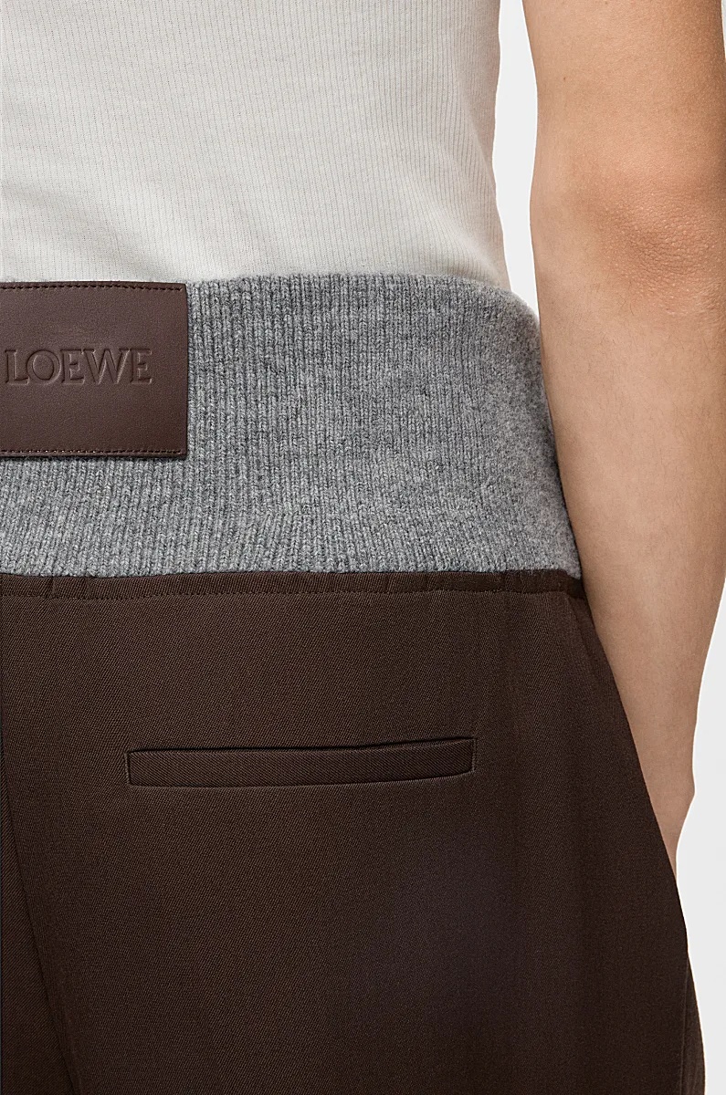 Loewe Pleated Elastic-waist Trousers In Brown
