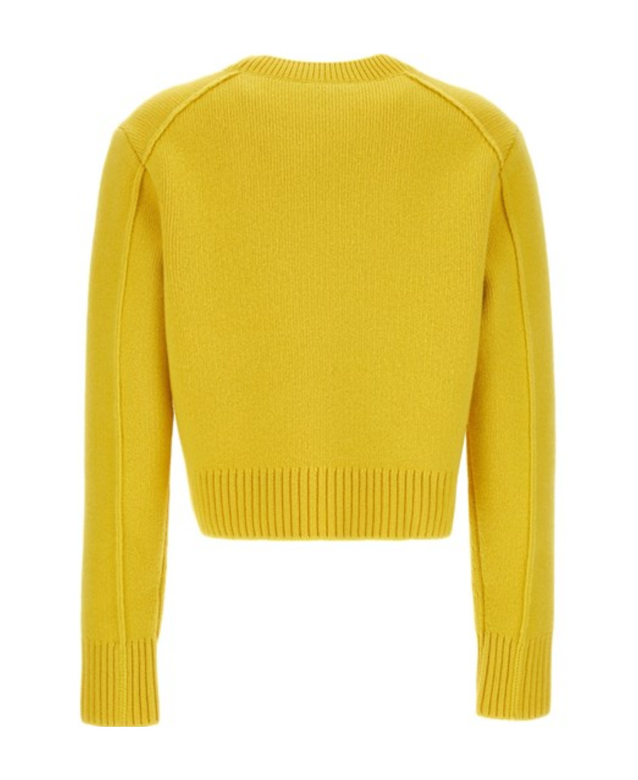 Shop Lanvin Cropped Knitted Jumper In Yellow