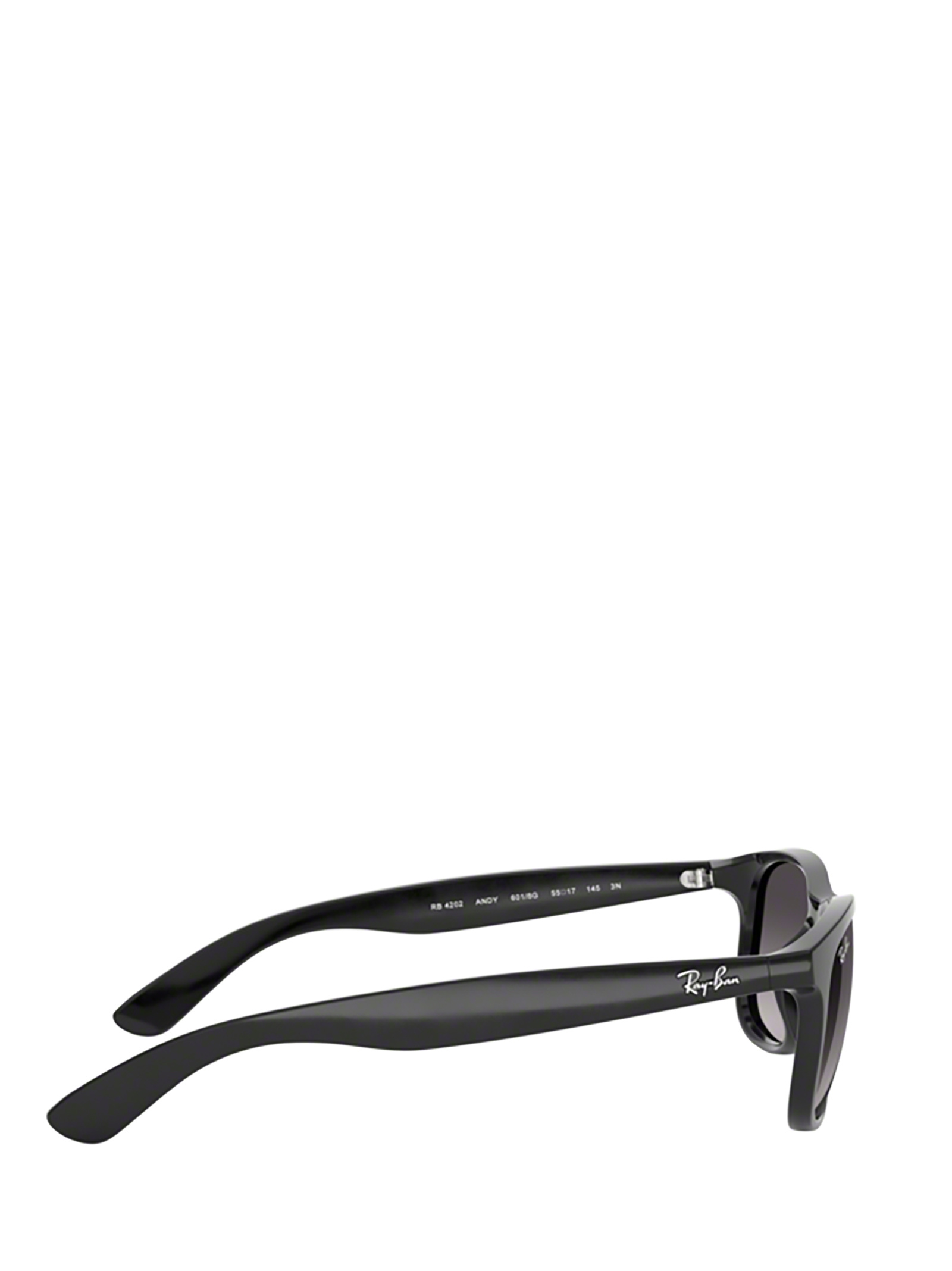 Ray Ban Ray-ban Andy Sunglasses In Black