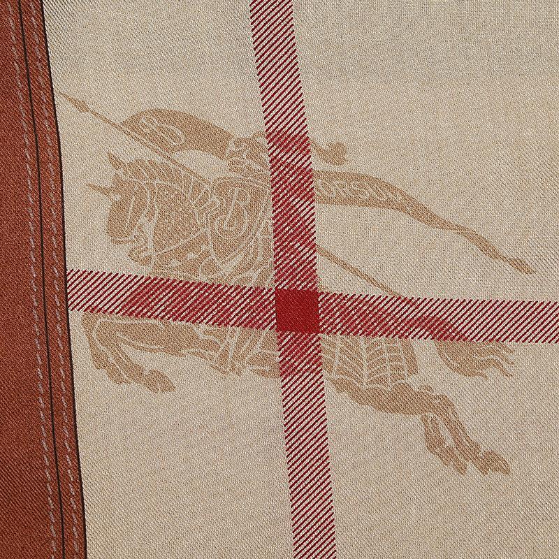 Burberry Checkered Detail Scarf In Brown